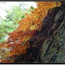 보문사약수터 이미지