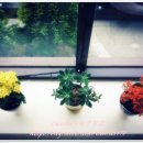 현저 공중화장실 이미지