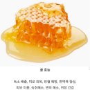 오늘단하루!!특가세일!!밤꿀(약꿀)2.4kg*두병67,000원 이미지