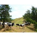 구례목장 이미지