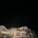 동백펜션 | [제주도숙소] 제주 더 갤러리 클래식 펜션 동백B 솔직후기