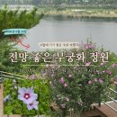 소망통신 | 무궁화꽃이 이렇게 예뻤나요? 전망 좋은 무궁화 정원 실시간 방문 후기