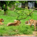 계림산장 이미지