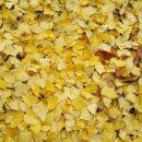 내서고속버스터미널 이미지