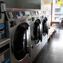 완도1호 이미지