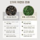 티슬 화산석 스톤 디퓨저 카야(교보문고향) 실내 방향제 현무암 내돈내산 인테리어 집들이 선물 솔직후기
