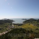 기선목장 이미지