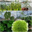 달나무농장 이미지