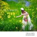 꽃들의 향연 이미지