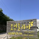 304마켓 | 파주 식물 파는 곳 추천, 반려식물 천국 조인폴리아 가게 마켓 주말 쇼핑 후기!