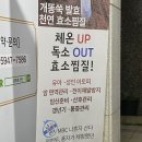 [양산] 양산효소찜질 피부관리 아토피 면역증진 &#34;금화효소원 양산점&#34;