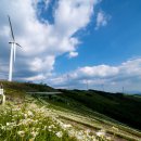 마지기로 이미지