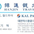 (주)대전닥스항공여행사 이미지