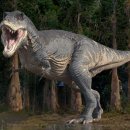 Latest News Reading 이미지