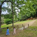 (주)정발산 이미지