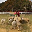 은모래목장 이미지