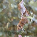 착한고깃집 이미지