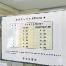 한아름삽시도영농조합법인 | 우도 배시간 편안한 여행 우도 전기차 코코나라