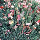 간이제 | 간청소 경험자 生生조언 (+관리비결)