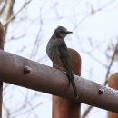 오봉산 맨발 등산로 이미지