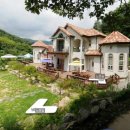 숲속개울가 이미지