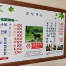 양지흑염소 이미지