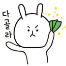 금영2 노래연습장 이미지