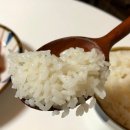 예농농장 이미지