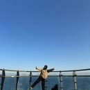 콩이랑 초이랑 이미지