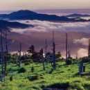 서마산IC 입구 이미지