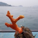 용궁다방 - 청송군 청송로 2655 | 용궁다방