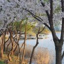 청과마루 - 연수구 센트럴로 160 | 청과마루