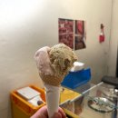 방울내로11길 106 | 망원동 맛집 강화통통생고기, 미자카야, 당도, 월명식당 입터진 마포 1박2일 다이어리