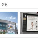 다운 태권도장 이미지