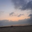 모모펫그루머 이미지