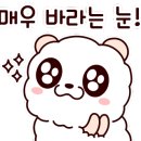 오코지 익스프레스 네이버블로그