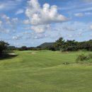 라온제주 이미지