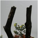 생명과학고등학교 이미지