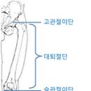 한국의지보조기학회 이미지