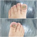 레푸스앤두두뷰티 이미지