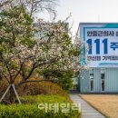 매화나무두그루 이미지