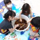 세중초교 병설유치원 이미지