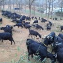 무리개농장 이미지