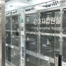 고수 동물병원 이미지