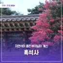 흑석사마애삼존불상 | 자연석이 품은 부처님이 계신 흑석사 마애삼존불상과 석조여래좌상을 만나요.