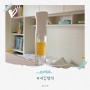 클린라이프방역 | 새집벌레 먼지다듬이 셀프 퇴치 아파트 창틀 가구벌레 예방