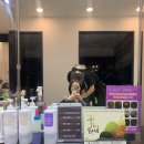 (주)오케이약품 | 분당 S컬펌 미금역 미용실 메이원헤어 교수부원장님하고 즐겁게 펌한 후기