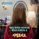벨팜므헤어살롱 | 청담헤어살롱 디자이너 경력이 있는 원장님이 운영...인천 가정동미용실 시벨로미오 커트후기 주차정보