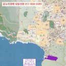 신선동-4 이미지