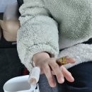 수원 소아정형외과 후기_수부 전문 수병원